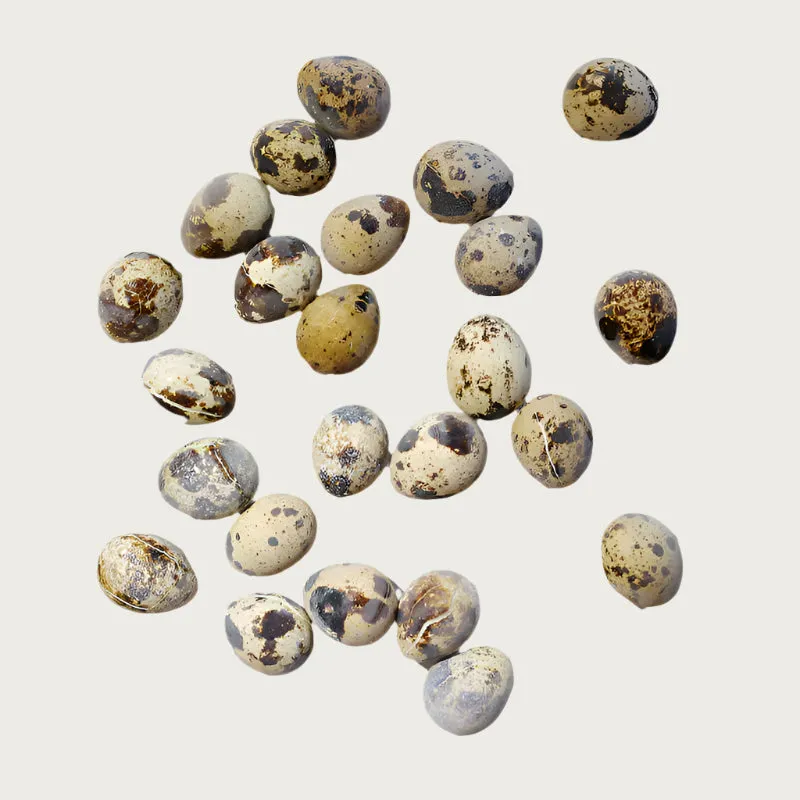 SAVAGE CAT Frozen Raw Quail Eggs Treat for Cats & Dogs