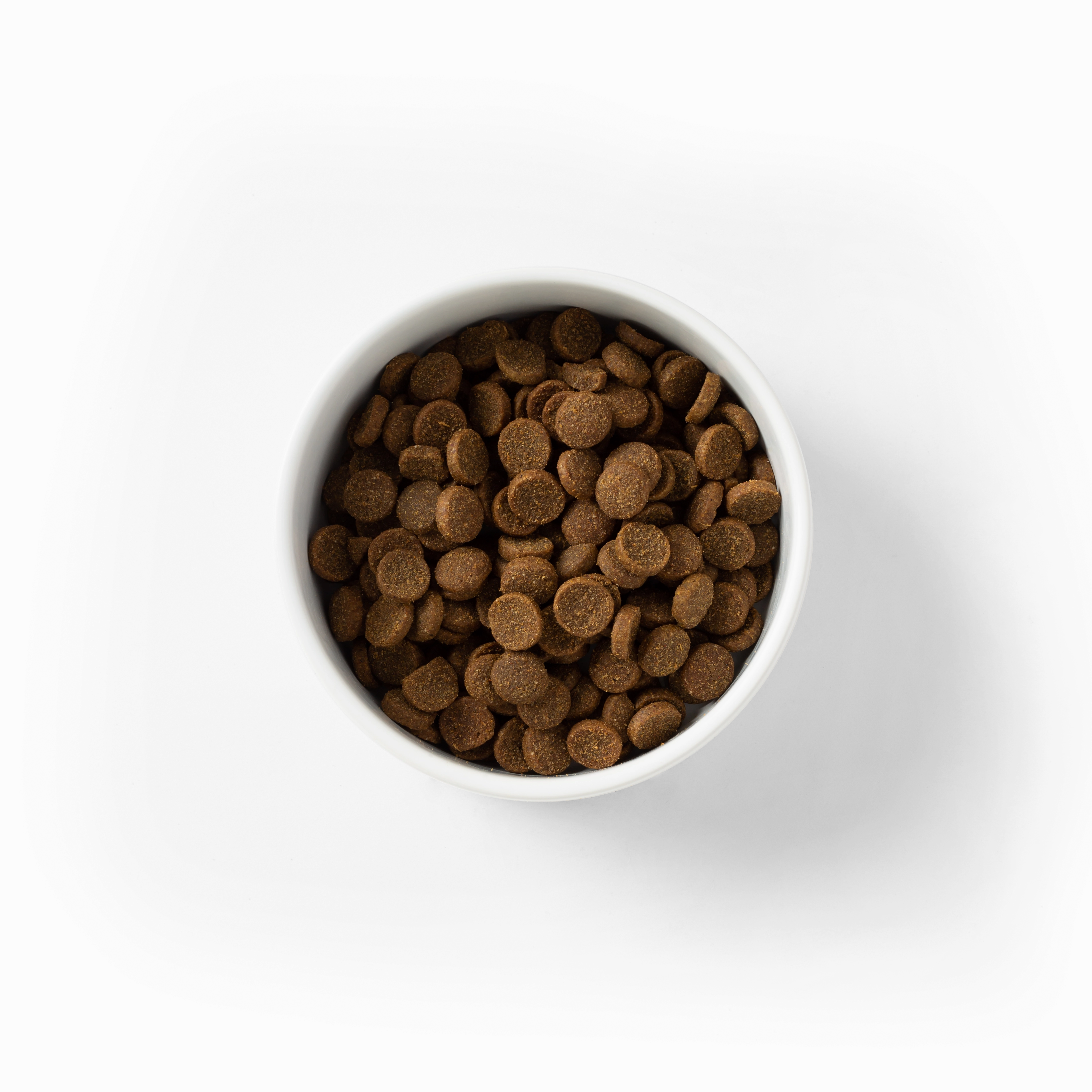 SavourLife - Essentials Beef Dog Dry Food (3kg)