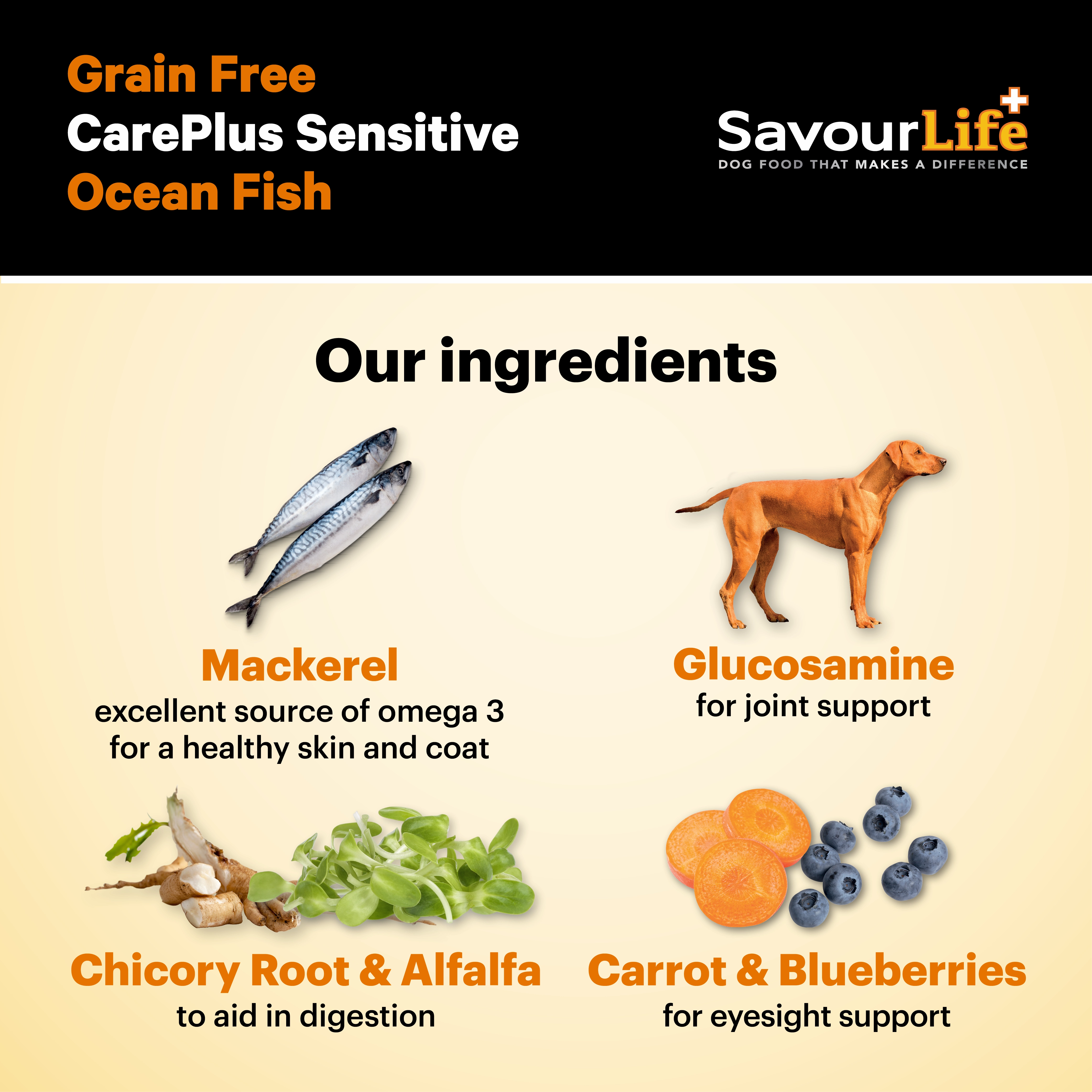 SavourLife - Grain Free Ocean Fish CarePlus Sensitive Dog Dry Food (10kg)
