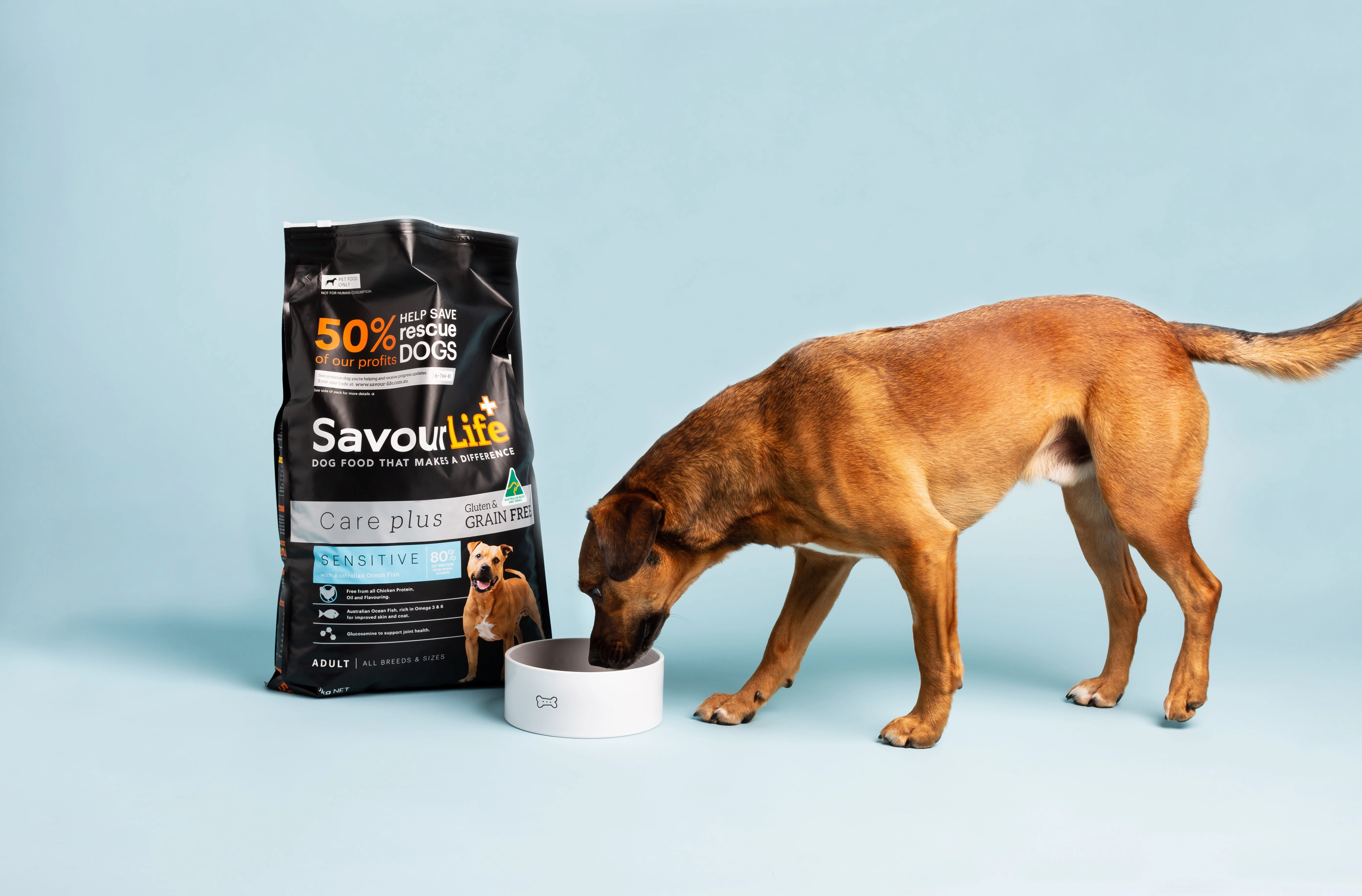 SavourLife - Grain Free Ocean Fish CarePlus Sensitive Dog Dry Food (10kg)