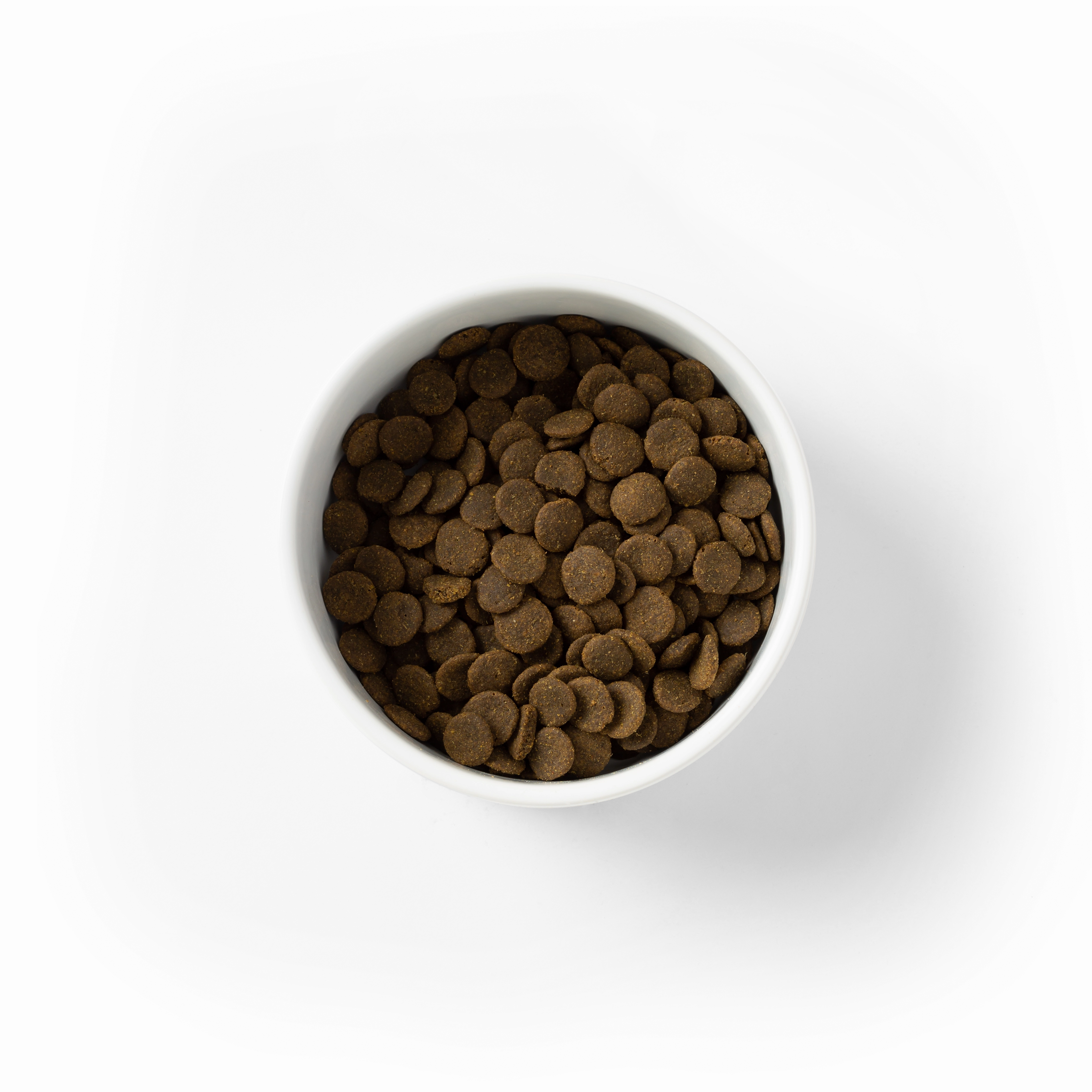 SavourLife - Grain Free Ocean Fish CarePlus Sensitive Dog Dry Food (2.5kg)