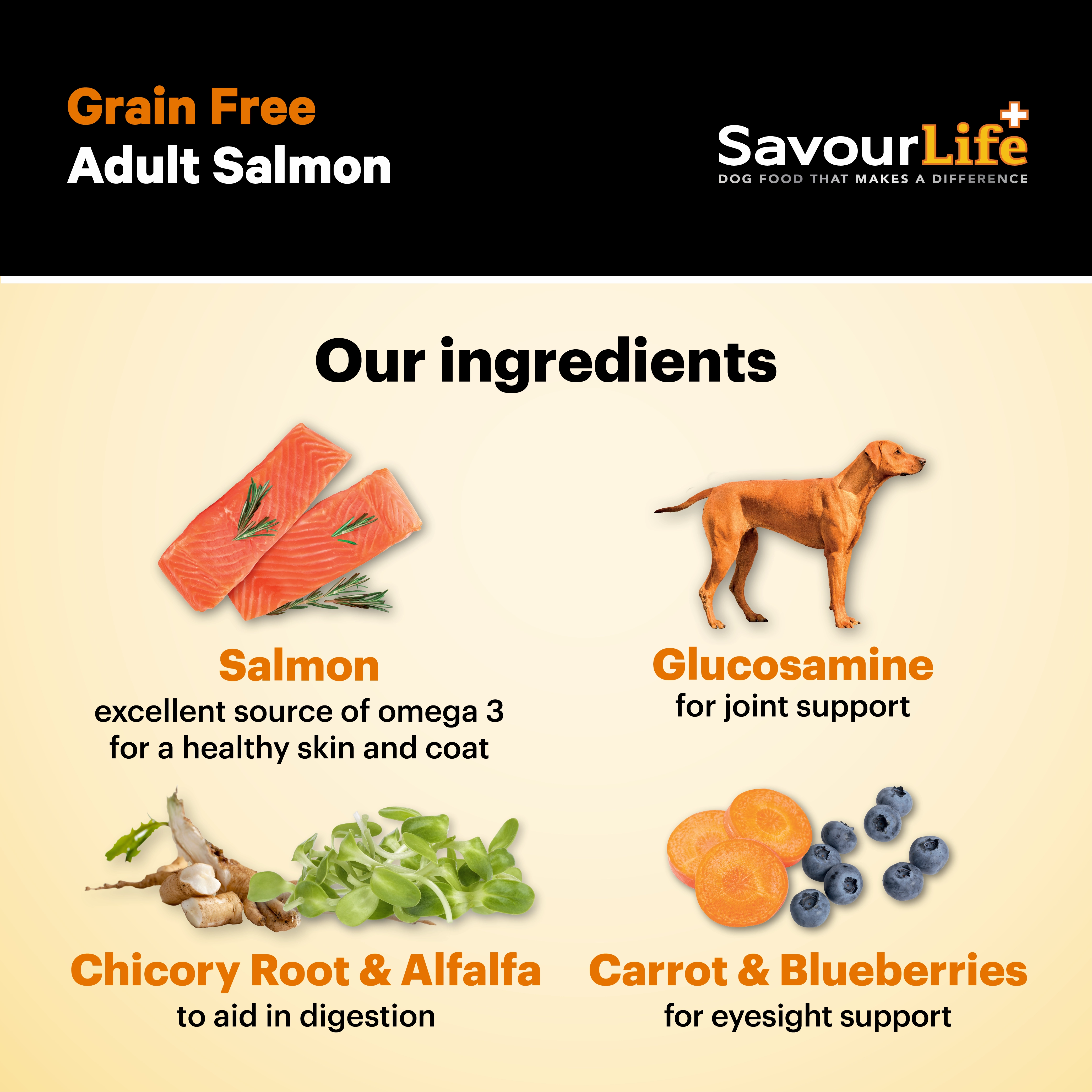 SavourLife - Grain Free Salmon Dog Dry Food (10kg)