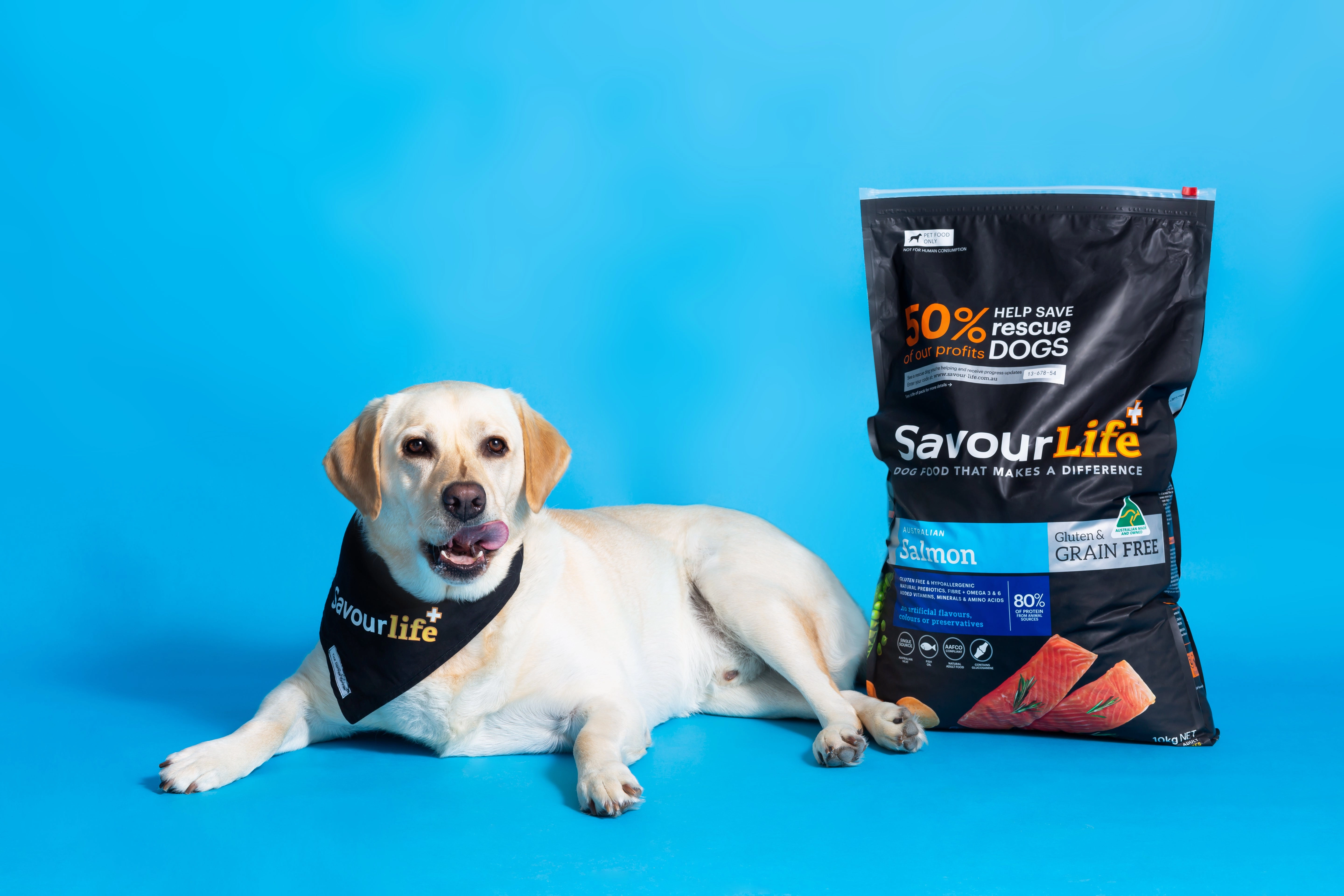 SavourLife - Grain Free Salmon Dog Dry Food (10kg)