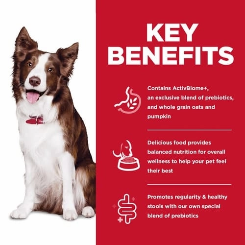 Science Diet Adult Perfect Digestion Chicken Recipe Dry Dog Food, 22lb