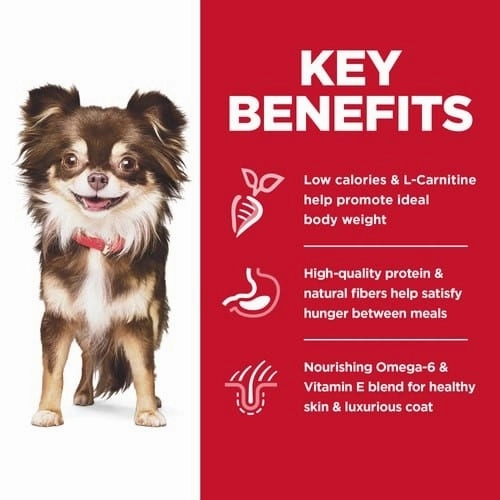 Science Diet Adult Sensitive Stomach & Skin Small & Mini Dry Dog Food, 4lb