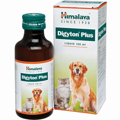 Scoopy Cat Litter, Kitty Yums Creamy Treats, Himalaya Digyton Syrup, Signature Kitten Food & Skatrs Mouse Toy Limited Cat Hamper