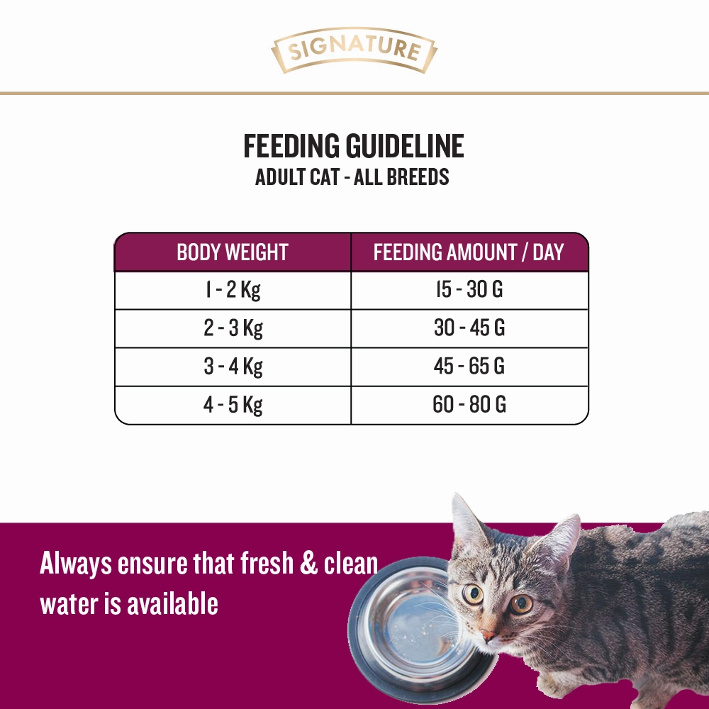 Scoopy Cat Litter, Me-O Creamy Treats, Digyton Syrup, Signature Cat Food & Basil Plush Squeaky Toy Limited Cat Hamper