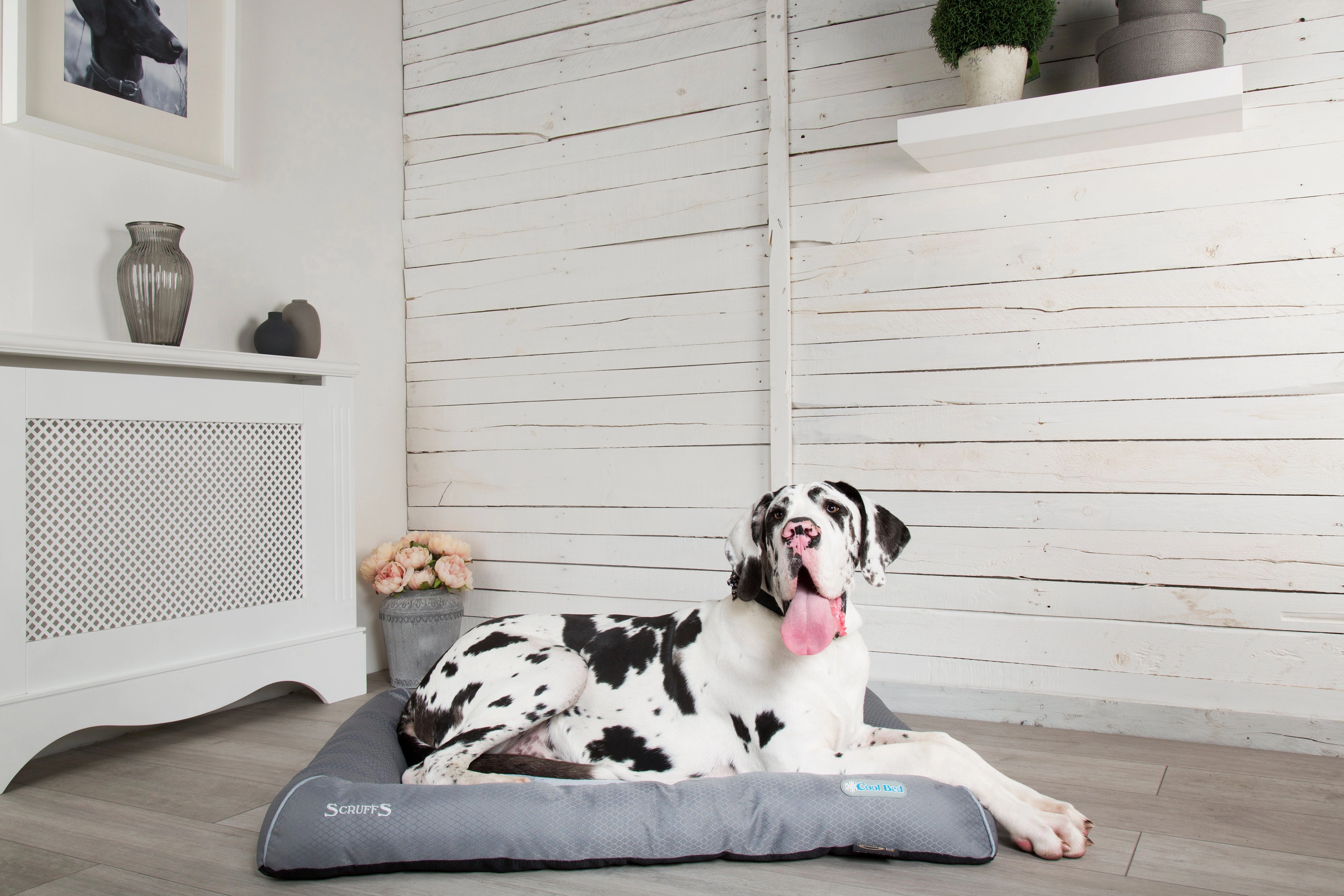 Scruffs - Cool Bed (100 x 75cm)