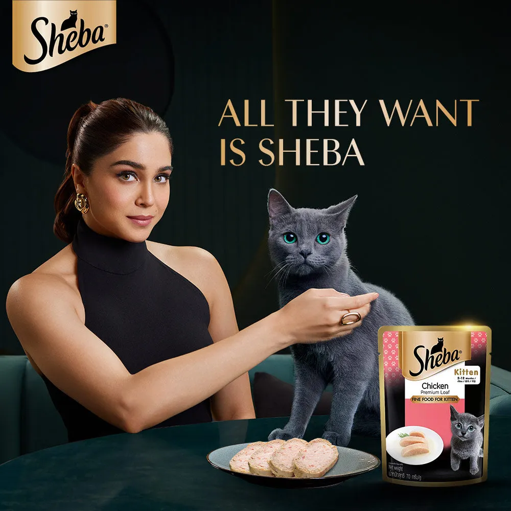 Sheba Chicken Loaf Kitten Wet Food, Drools Biscuit Treat, Kitty Yums Lickable Real Chicken Creamy Treat Cats Combo
