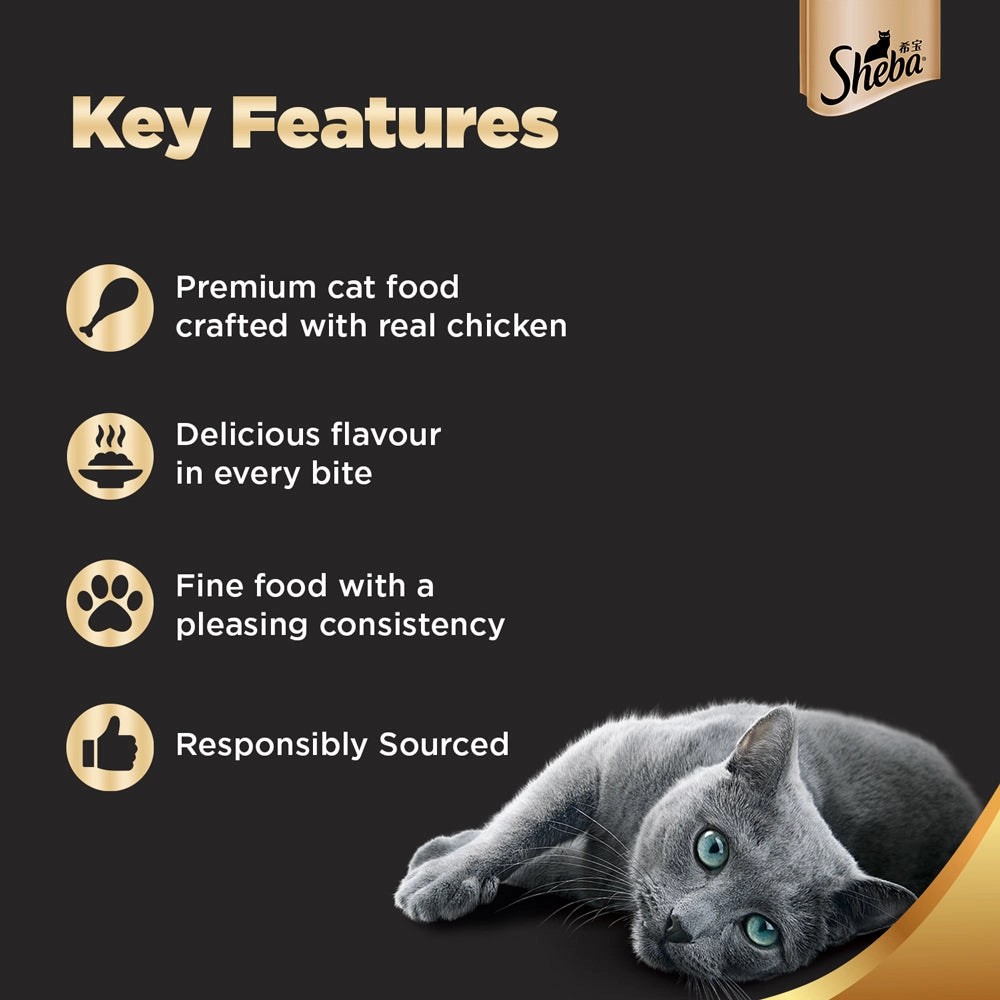 Sheba Chicken Loaf Rich Premium Adult Fine Wet Food and Chicken All Life Stage Cat Dry Food Combo