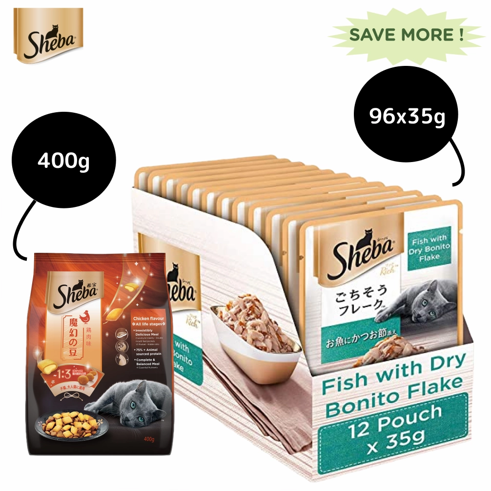 Sheba Fish with Dry Bonito Flake Premium Cat Wet Food and Chicken Flavour Irresistible All Life Stage Cat Dry Food Combo