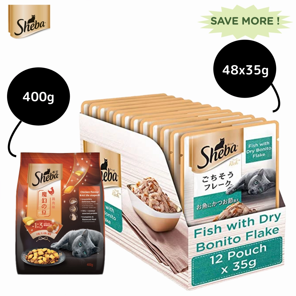 Sheba Fish with Dry Bonito Flake Premium Cat Wet Food and Chicken Flavour Irresistible All Life Stage Cat Dry Food Combo