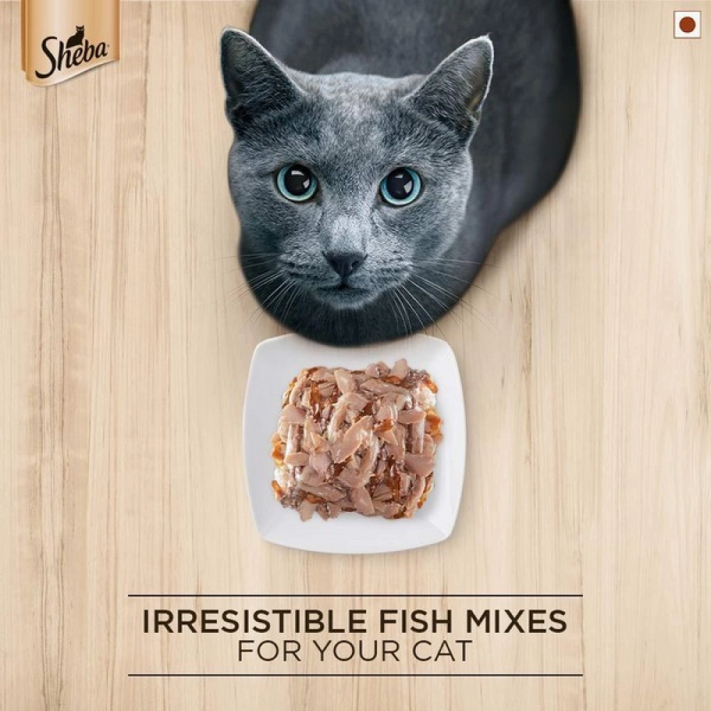 Sheba Fish with Dry Bonito Flake Premium Cat Wet Food and Chicken Flavour Irresistible All Life Stage Cat Dry Food Combo
