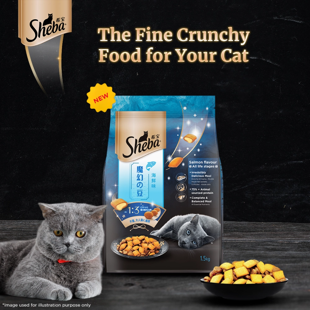 Sheba Fish with Sasami Premium Cat Wet Food and Salmon Flavour Irresistible All Life Stages Cat Dry Food Combo