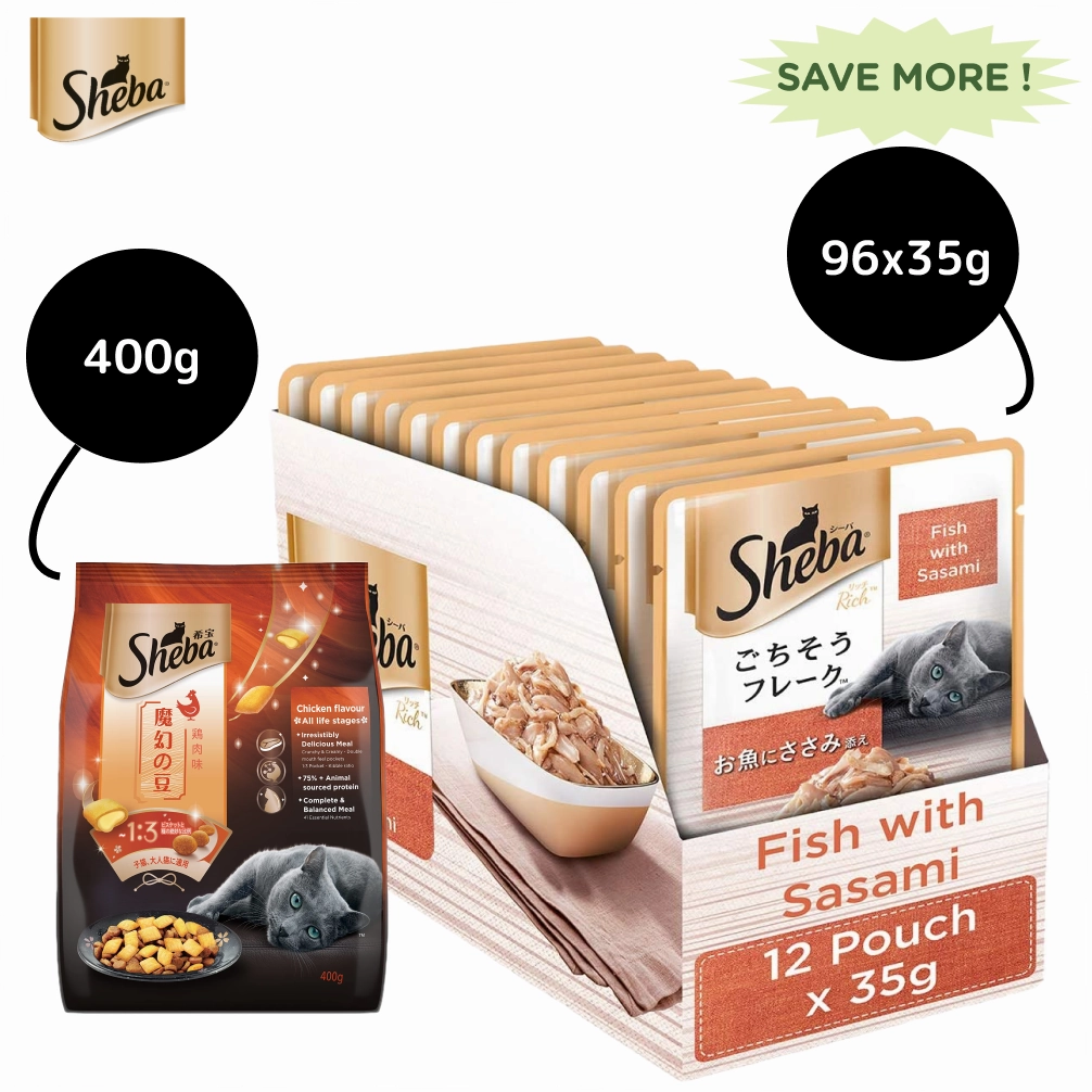 Sheba Fish with Sasami Premium Cat Wet Food and Sheba Chicken Flavour Irresistible All Life Stage Cat Dry Food Combo