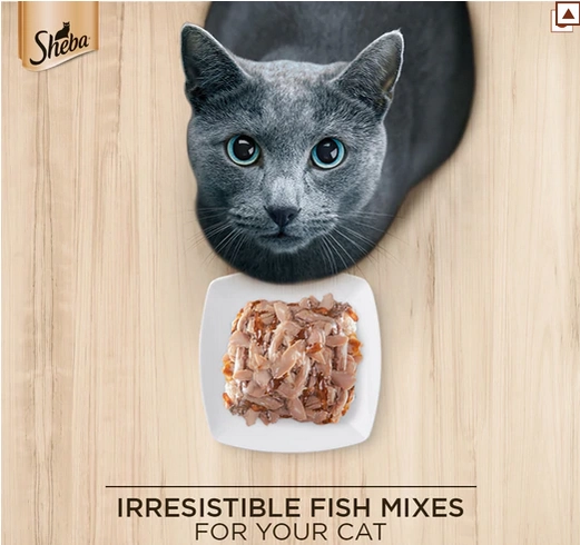 Sheba Fish with Sasami Premium Cat Wet Food and Sheba Chicken Flavour Irresistible All Life Stage Cat Dry Food Combo