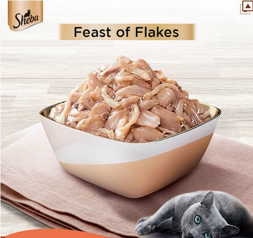 Sheba Fish with Sasami Premium Cat Wet Food and Sheba Chicken Flavour Irresistible All Life Stage Cat Dry Food Combo