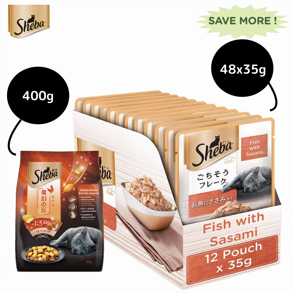 Sheba Fish with Sasami Premium Cat Wet Food and Sheba Chicken Flavour Irresistible All Life Stage Cat Dry Food Combo