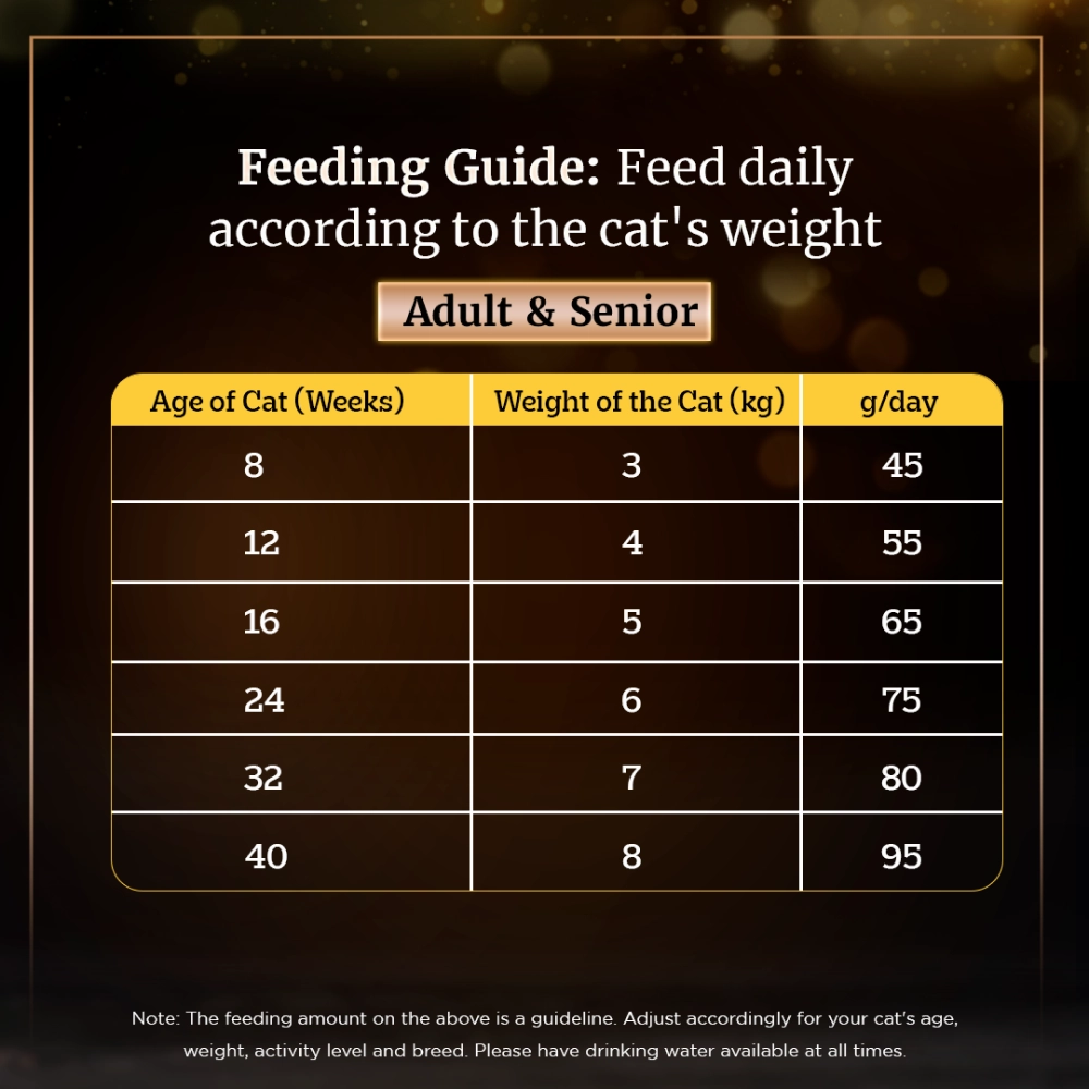 Sheba Fish with Sasami Premium Cat Wet Food and Sheba Chicken Flavour Irresistible All Life Stage Cat Dry Food Combo