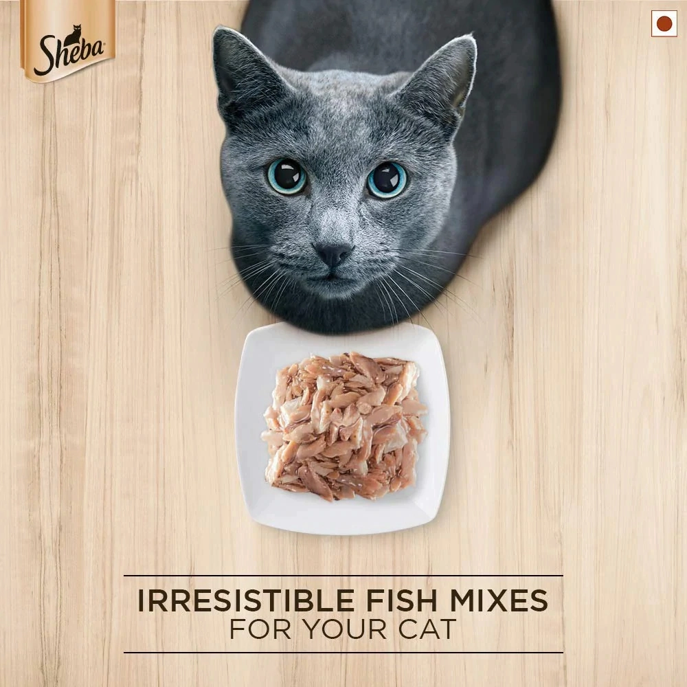 Sheba Maguro & Bream Fish Mix Premium Cat Wet Food Combo and Chicken Flavour Irresistible All Life Stage Cat Dry Food