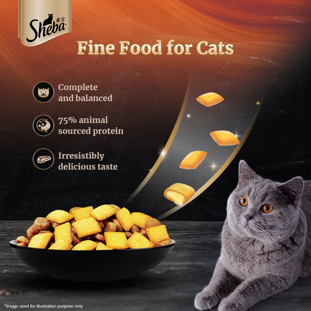 Sheba Maguro & Bream Fish Mix Premium Cat Wet Food Combo and Chicken Flavour Irresistible All Life Stage Cat Dry Food