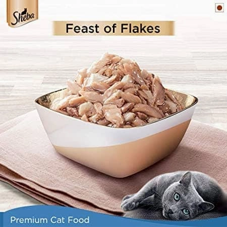Sheba Maguro & Bream Fish Mix Premium Cat Wet Food Combo and Chicken Flavour Irresistible All Life Stage Cat Dry Food