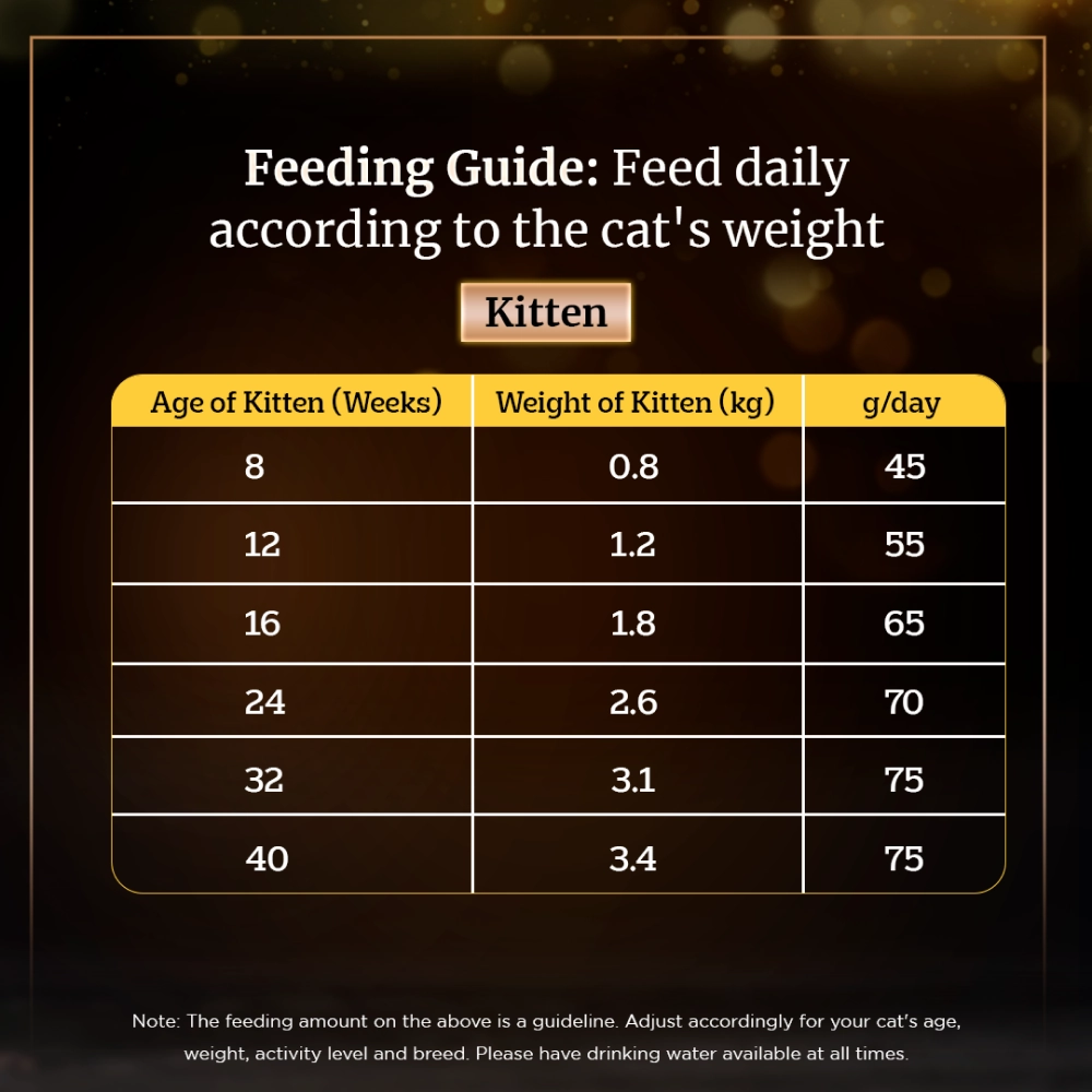 Sheba Maguro & Bream Fish Mix Premium Cat Wet Food Combo and Chicken Flavour Irresistible All Life Stage Cat Dry Food