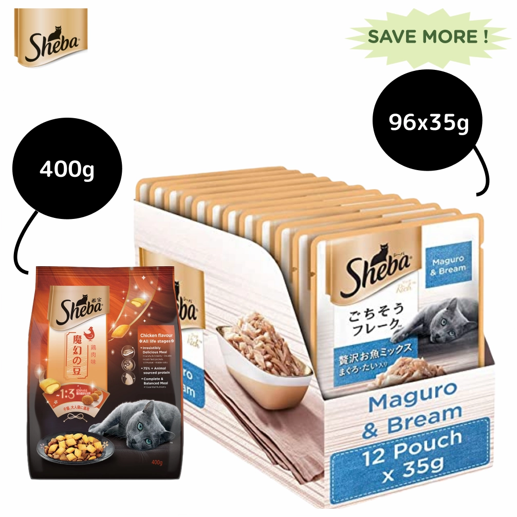 Sheba Maguro & Bream Fish Mix Premium Cat Wet Food Combo and Chicken Flavour Irresistible All Life Stage Cat Dry Food
