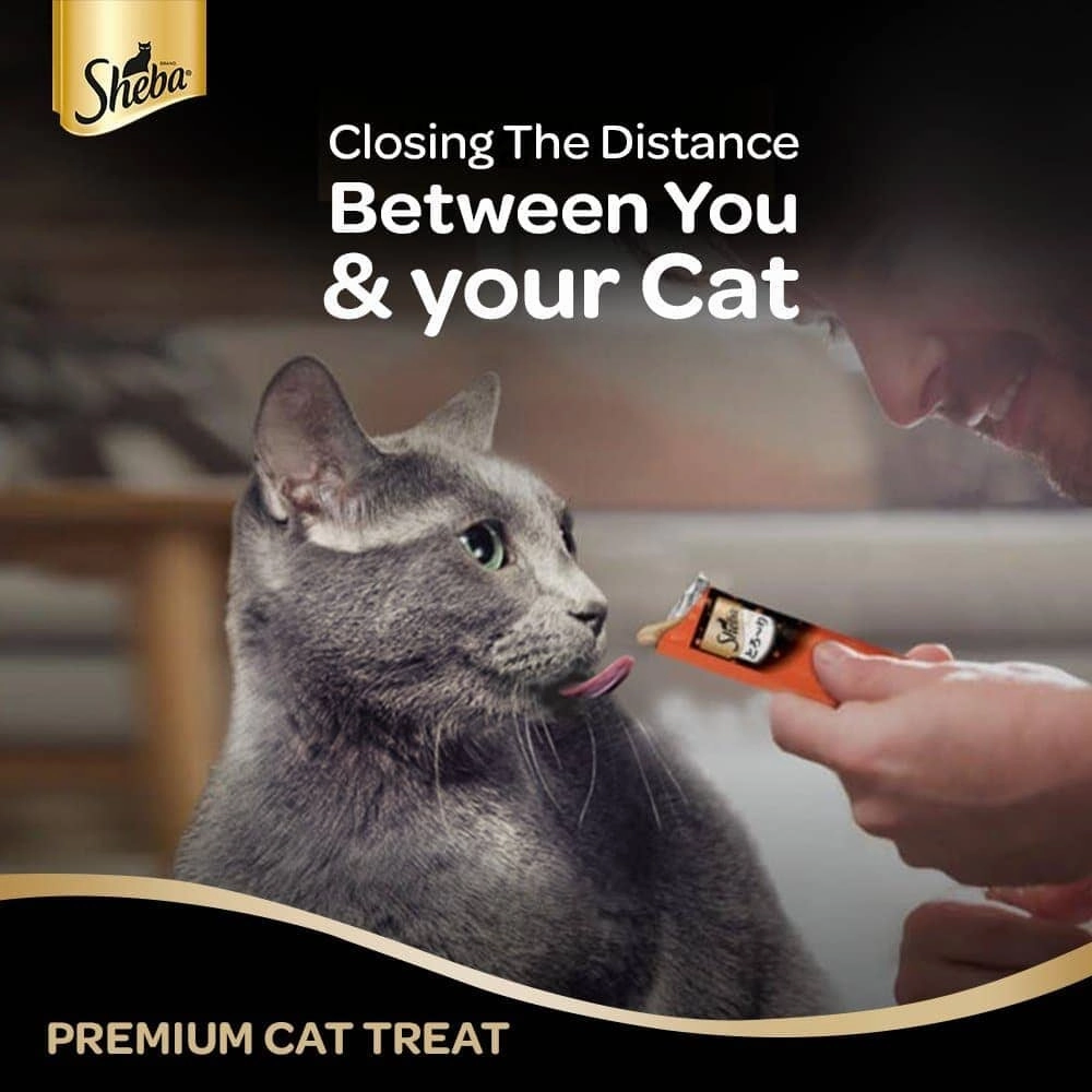 Sheba Tuna Flavor and Tuna & Prawn Maguro and Sheba Chicken & Chicken Whitefish Sasami Melty Premium Treats for Cats Combo