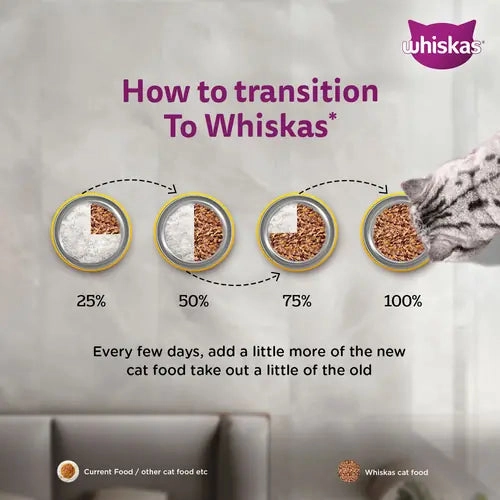 Sheba Tuna Pumpkin & Carrot In Gravy and Whiskas Tuna in Jelly Cat Wet Food Combo