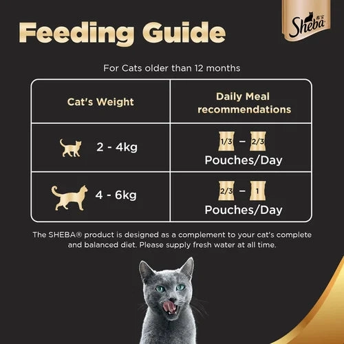Sheba Tuna Pumpkin & Carrot In Gravy and Whiskas Tuna in Jelly Cat Wet Food Combo