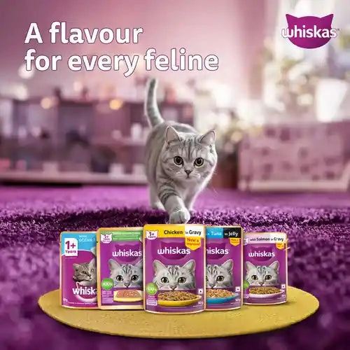 Sheba Tuna Pumpkin & Carrot In Gravy and Whiskas Tuna in Jelly Cat Wet Food Combo
