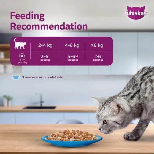 Sheba Tuna Pumpkin & Carrot In Gravy and Whiskas Tuna in Jelly Cat Wet Food Combo