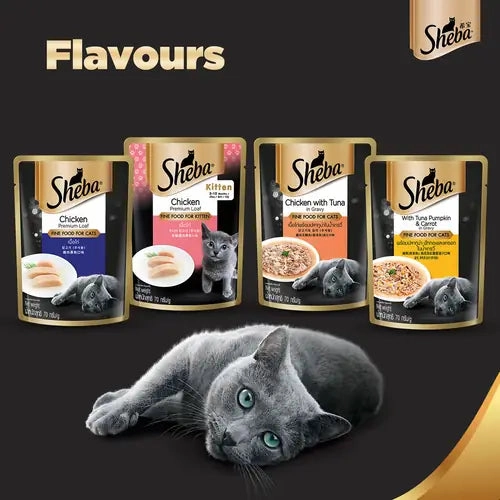 Sheba Tuna Pumpkin & Carrot In Gravy and Whiskas Tuna in Jelly Cat Wet Food Combo