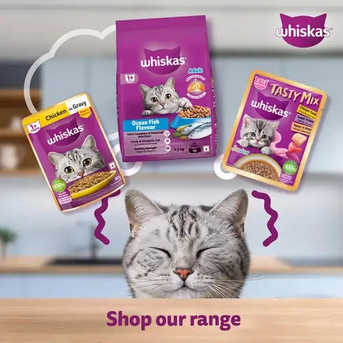 Sheba Tuna Pumpkin & Carrot In Gravy and Whiskas Tuna in Jelly Cat Wet Food Combo