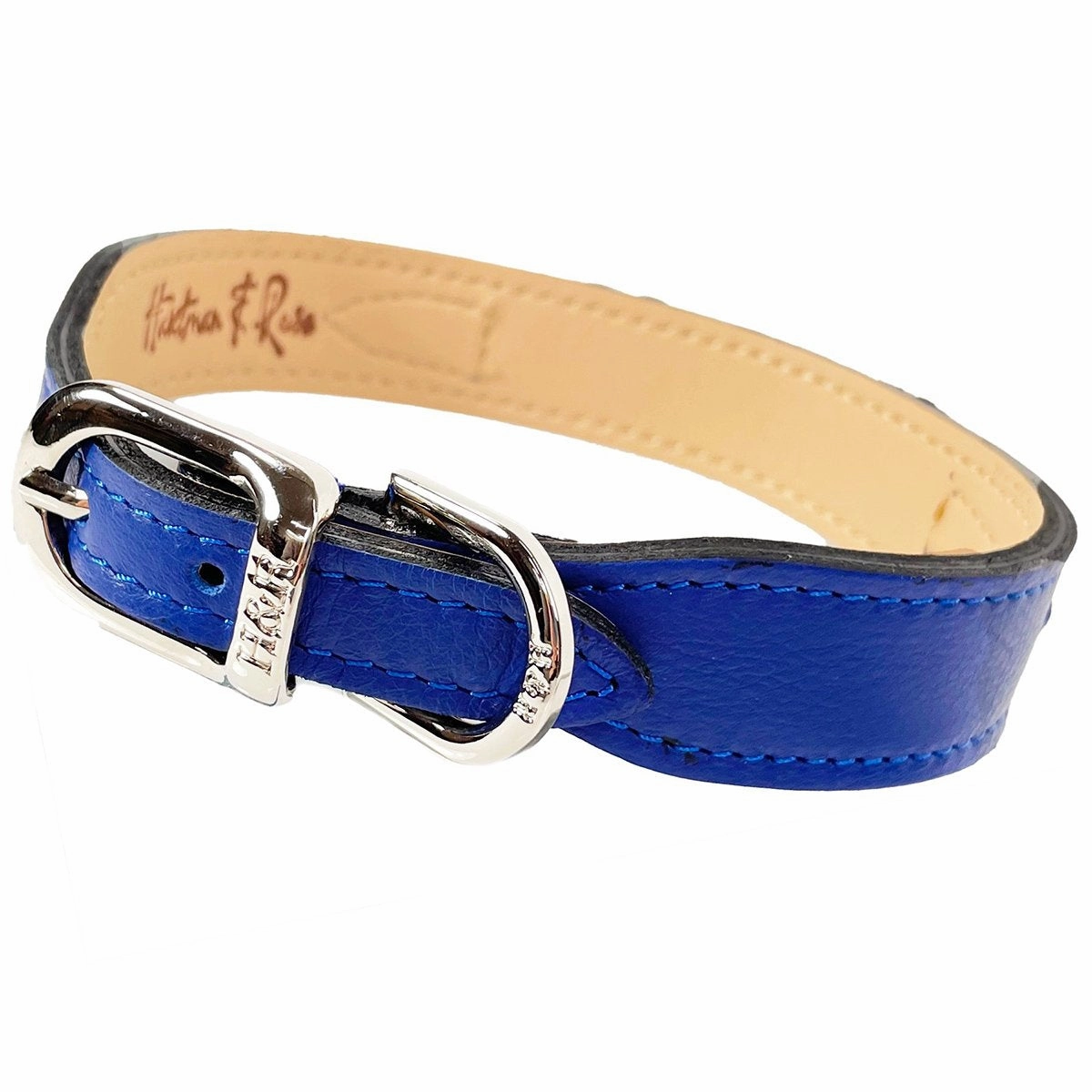 Signature Collection Dog Collar Cobalt Blue/Nickel