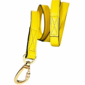 Signature Collection Dog Leash Canary Yellow/Gold