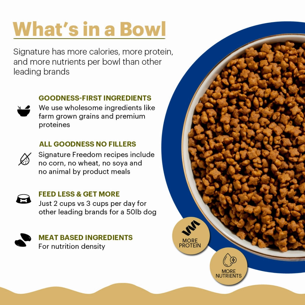 Signature Freedom Fish, Chicken and Peas Recipe Adult Cat Dry Food and Grain Zero Salmon Lickable Creamy Cat Treats Combo