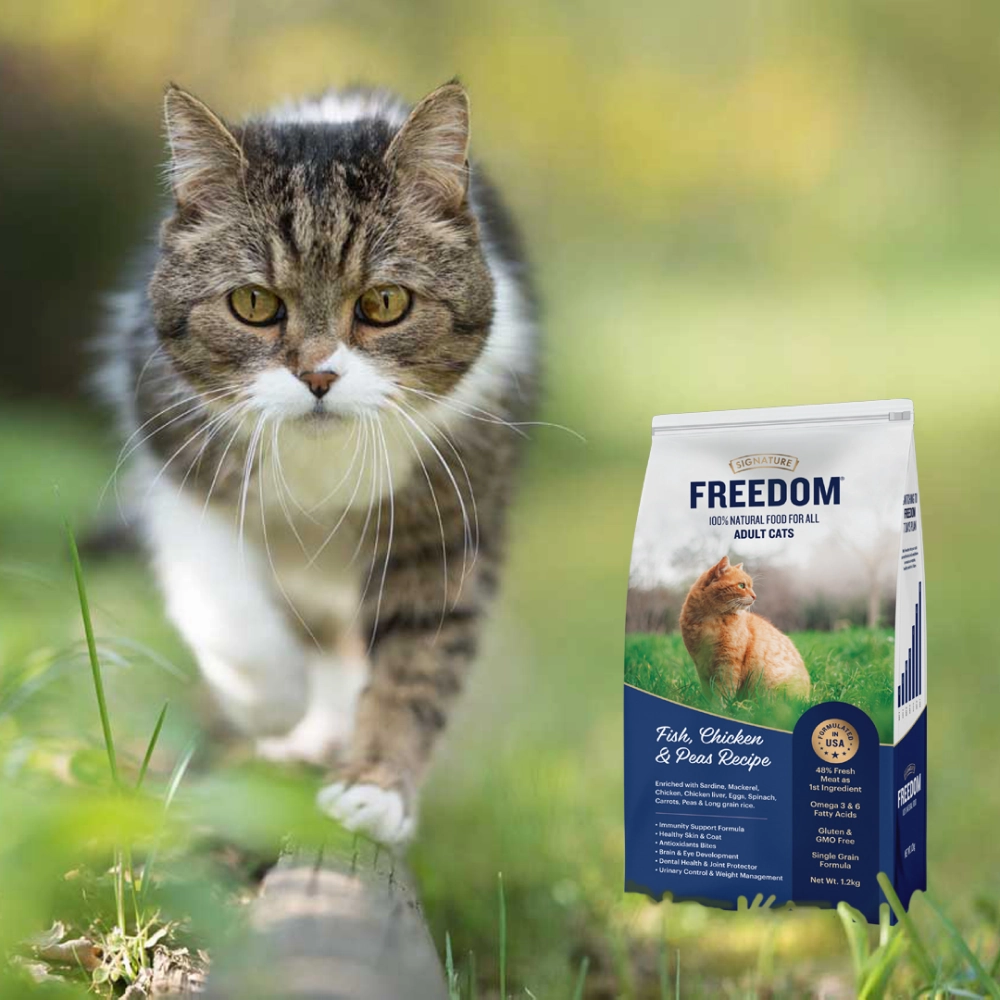 Signature Freedom Fish, Chicken and Peas Recipe Adult Cat Dry Food and Grain Zero Salmon Lickable Creamy Cat Treats Combo
