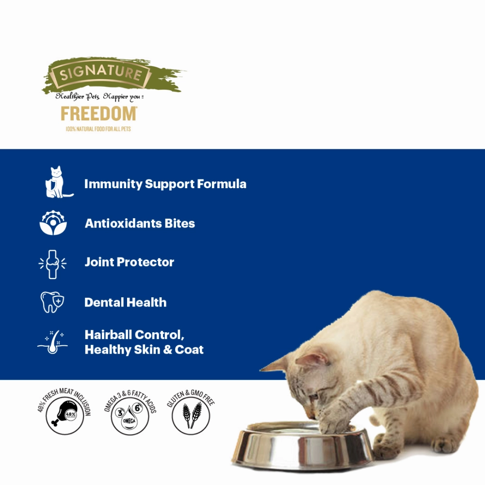 Signature Freedom Fish, Chicken and Peas Recipe Persian Cat Dry Food and Grain Zero Chicken and Liver Lickable Creamy Cat Treats Combo
