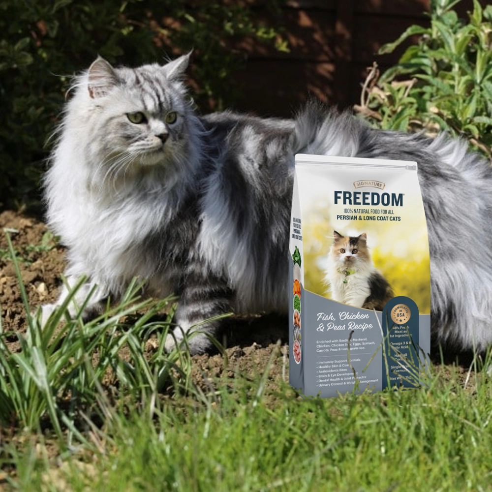 Signature Freedom Fish, Chicken and Peas Recipe Persian Cat Dry Food and Grain Zero Chicken and Liver Lickable Creamy Cat Treats Combo