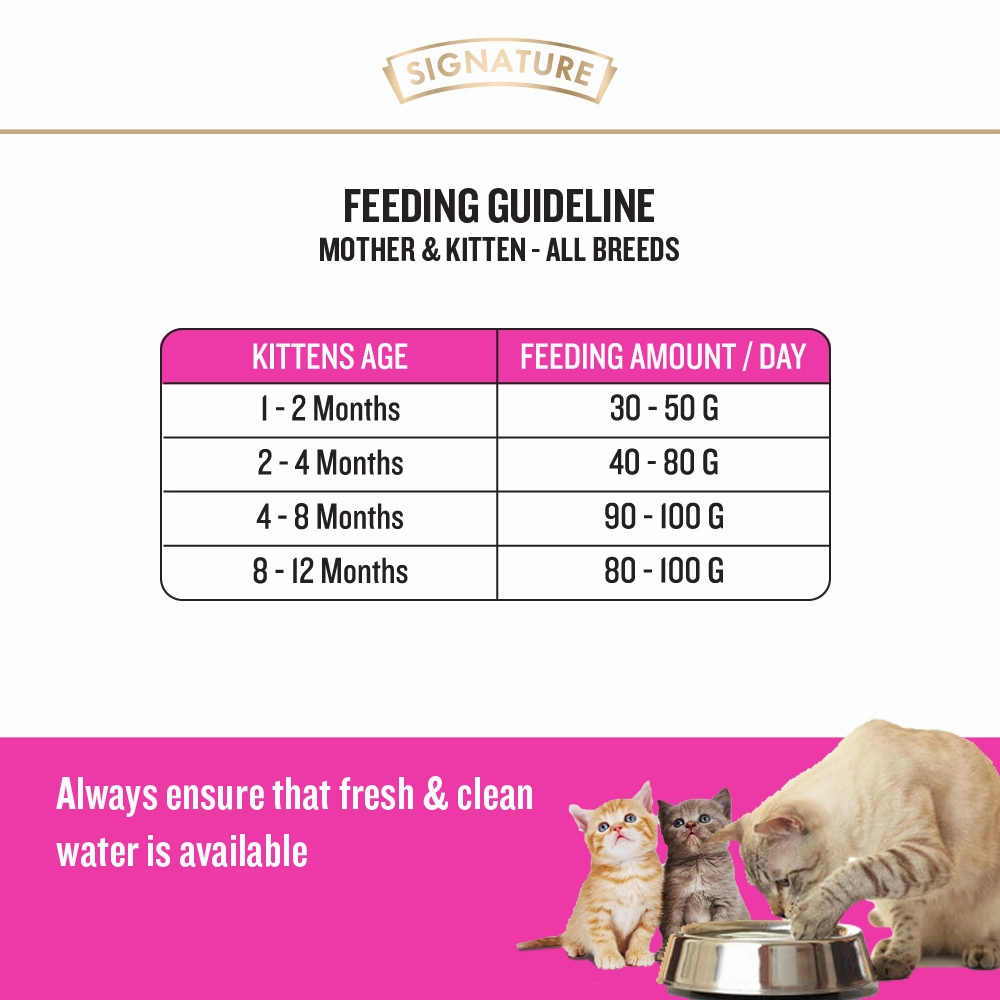 Signature Grain Zero Ocean Fish, Sardine and Mackerel Mother and Kitten Cat Dry Food and Grain Zero Chicken and Liver Lickable Creamy Cat Treats Combo