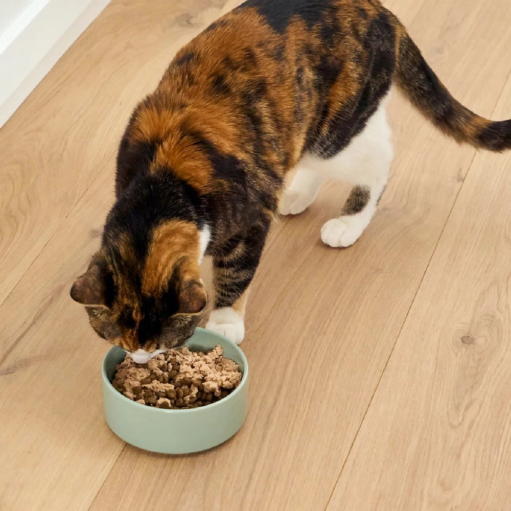 Silky Mousse Arctic Char Tasty Meal Topper for Cats