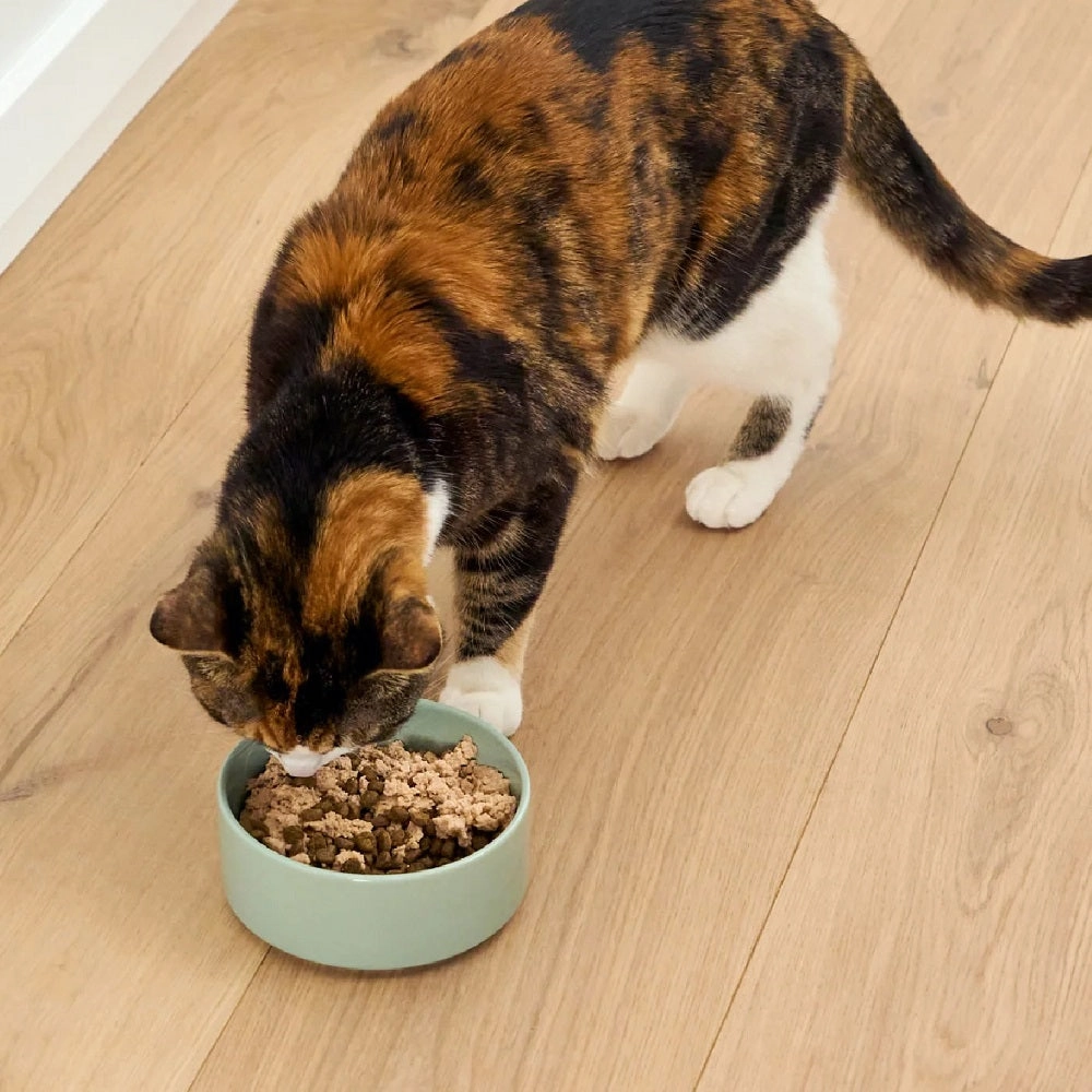 Silky Mousse Arctic Char Tasty Meal Topper for Cats