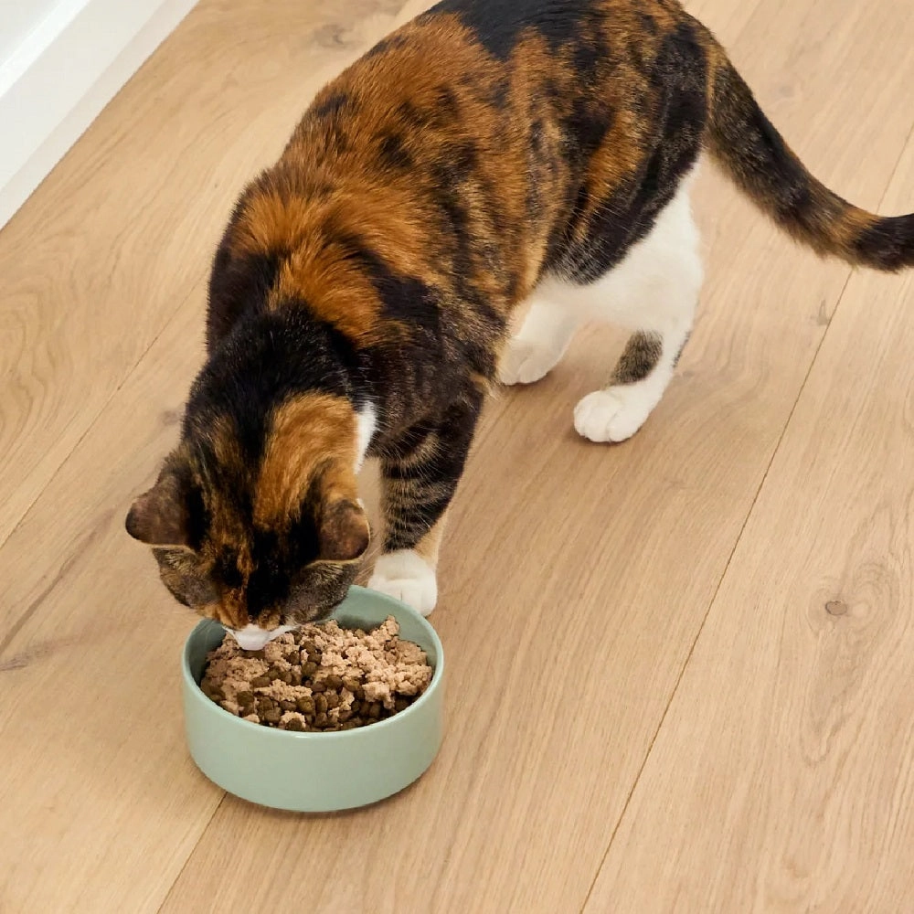 Silky Mousse Salmon & Cod Tasty Meal Topper for Cats