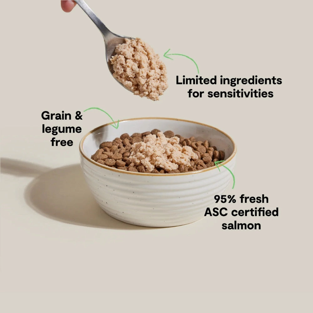 Silky Mousse Salmon Tasty Meal Topper for Cats