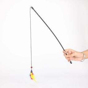 Cat Toys