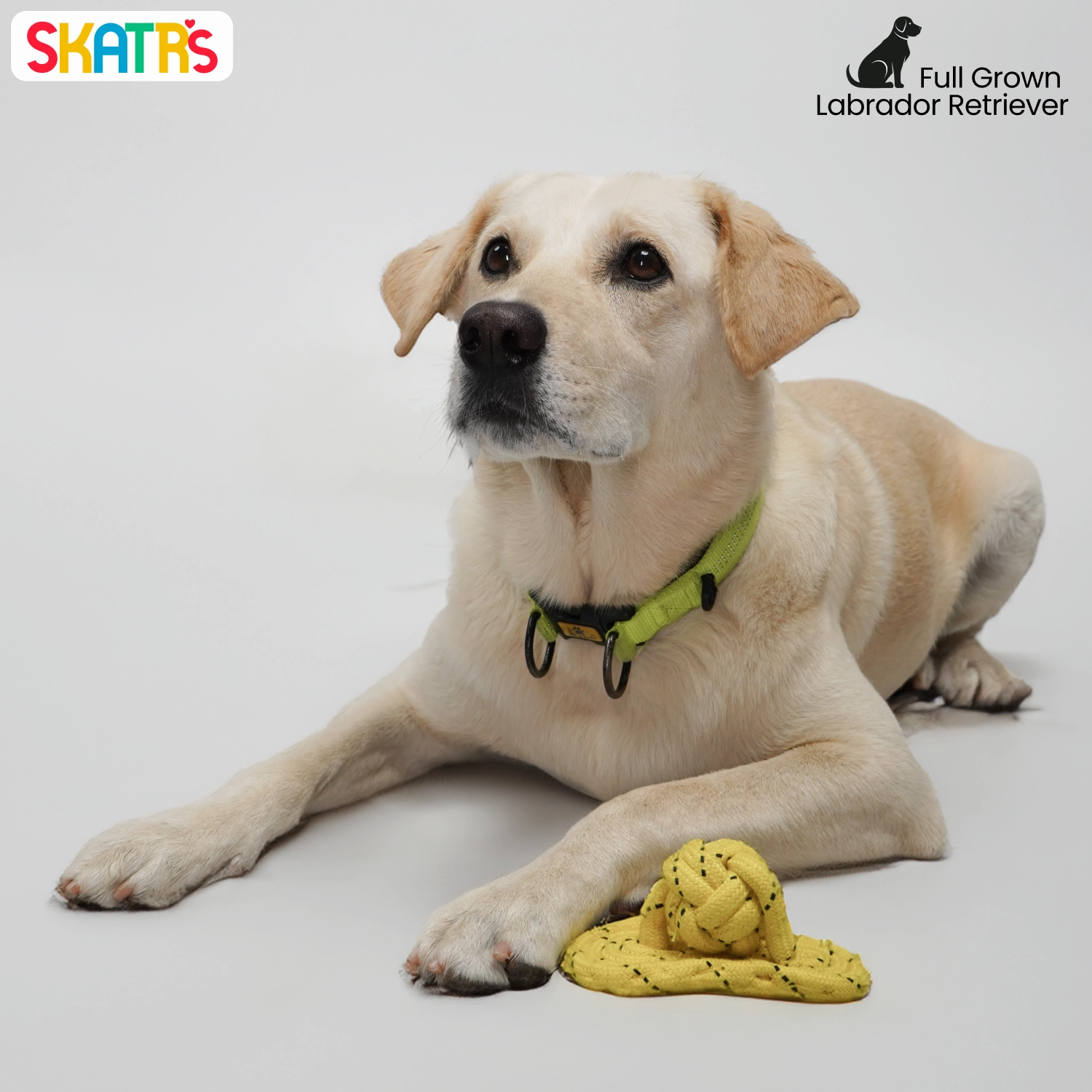 Skatrs Sandal Shaped Hand Made, Durable Rope Chew Toy for Dogs & Cats (Light Yellow)