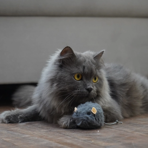 Skatrs Wiggle MouseToyforCats (Grey)