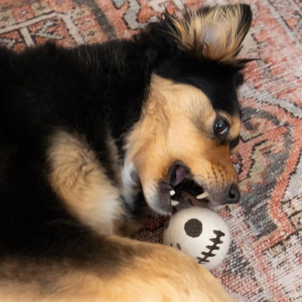 Skeleton Beastball Dog Toy